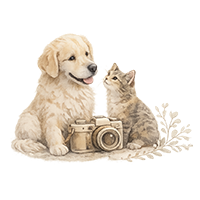 Illustration représentant un chien et un chat autour d’un appareil photo, symbole de séance photo animalière personnalisée